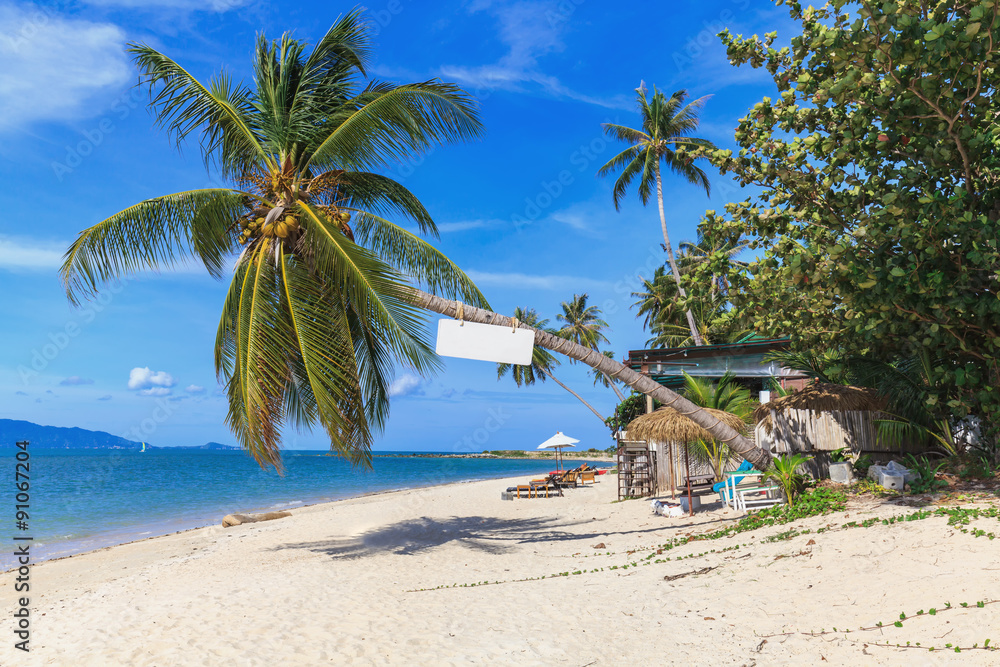 Obraz premium Beautiful tropical beach with palm trees