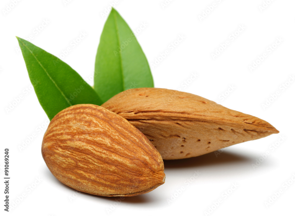 Almond group Almond group