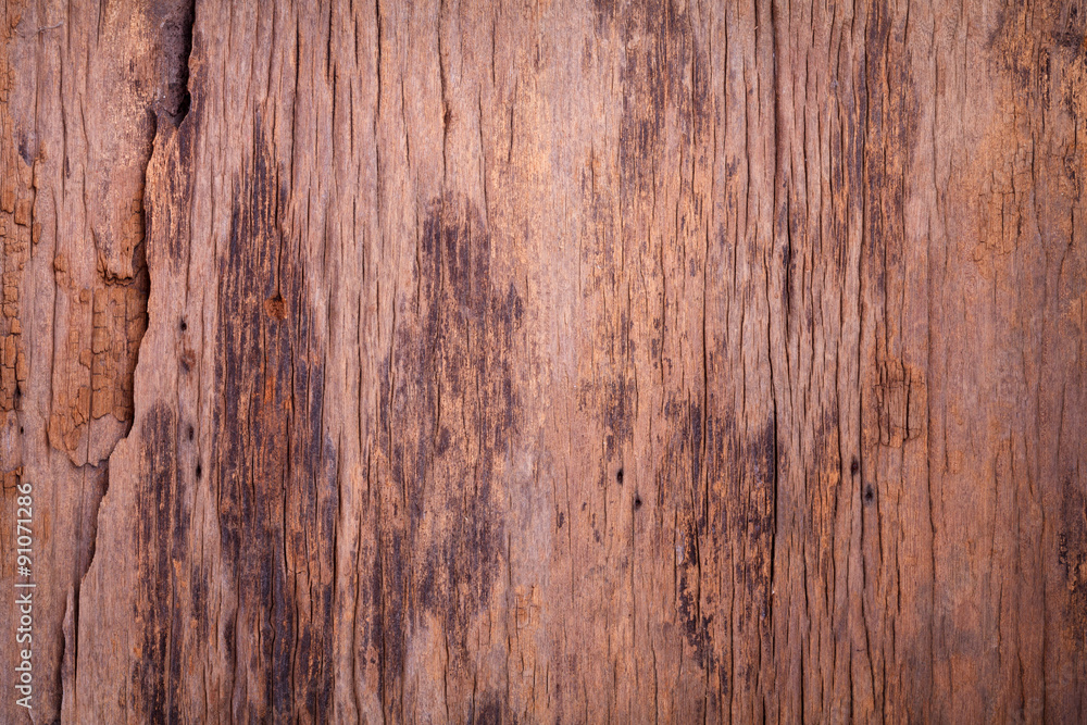 wood texture background wood texture background
