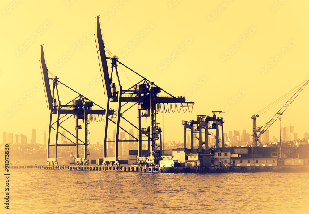 Industrial landscape with gantry cranes in sea port.
