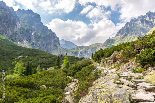 Fototapeta Naklejka Na Ścianę i Meble -  Dolina Małej Zimnej Wody - Słowacja