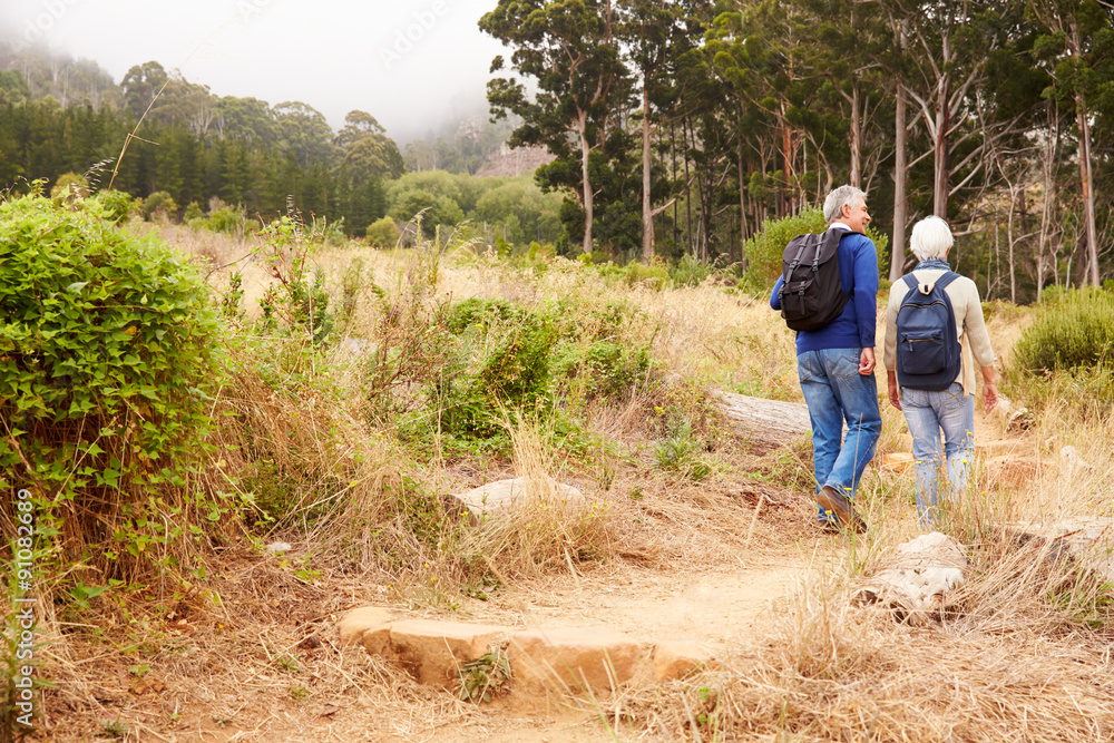 Senior couple walking together in a forest, back view Senior couple walking together in a forest, back view