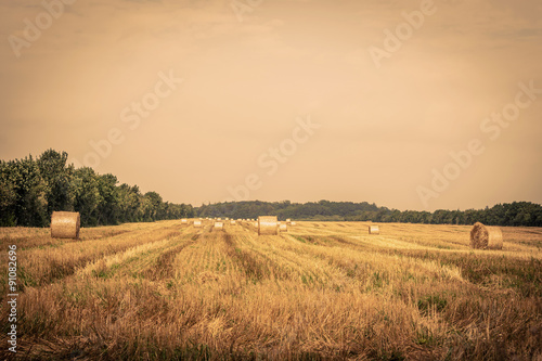 Round bales on a field