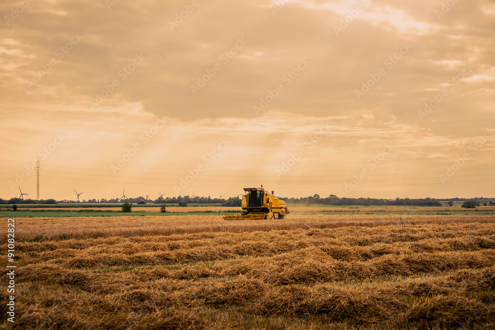 Obraz premium Harvester on cropped field