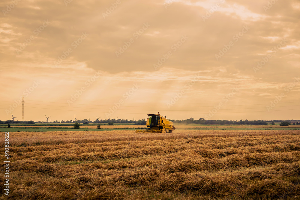 Harvester on cropped field