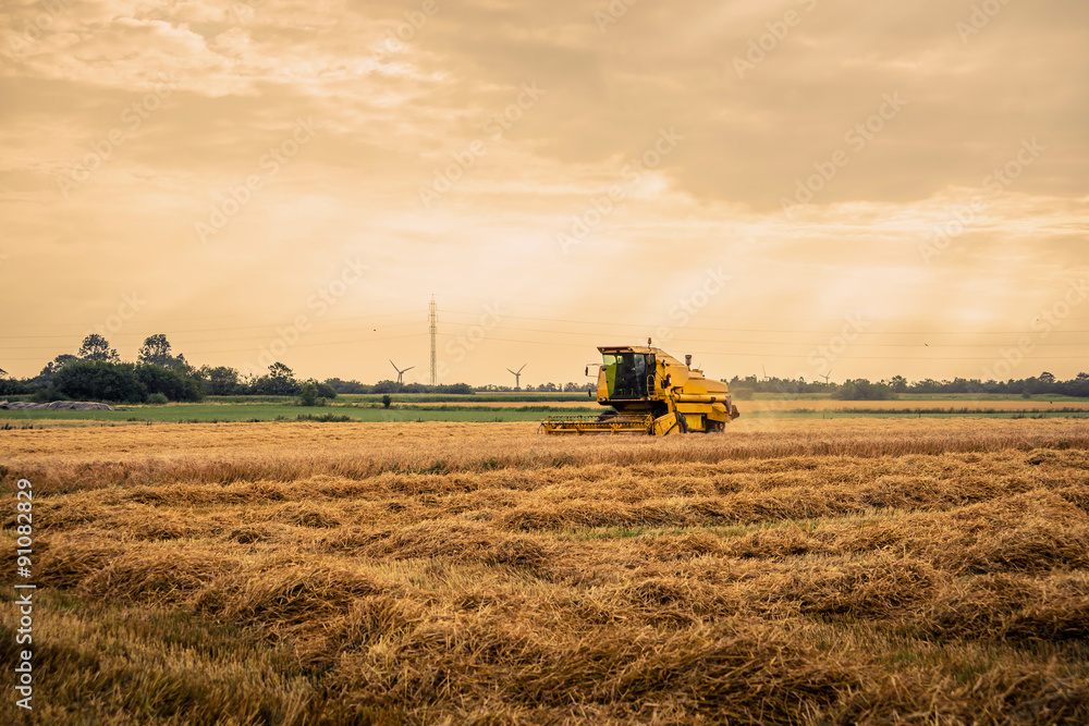 Harvester on a field in the summertime Harvester on a field in the summertime