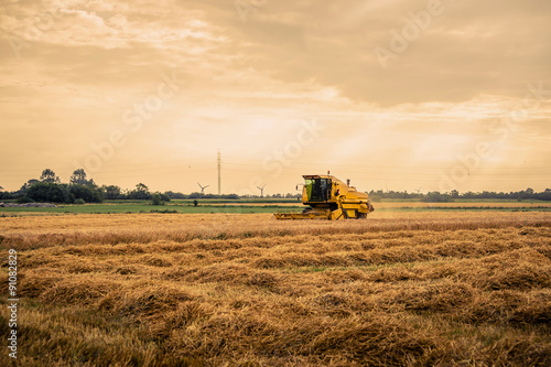 Harvester on a field in the summertime