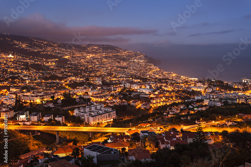 Funchal aerial view © saiko3p