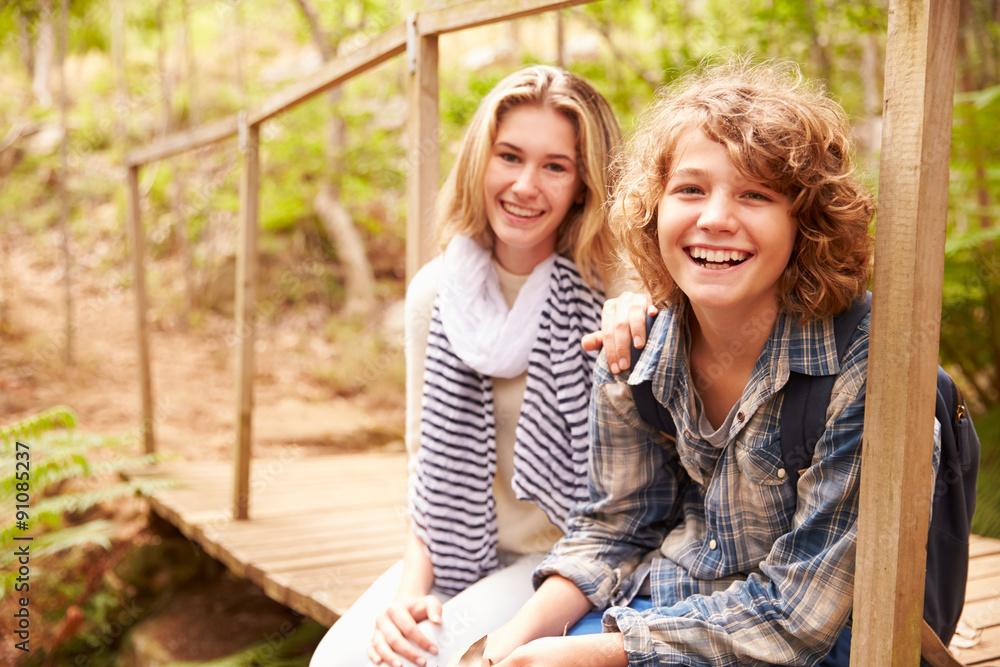 Fototapeta premium Siblings sitting on a wooden bridge in a forest, portrait