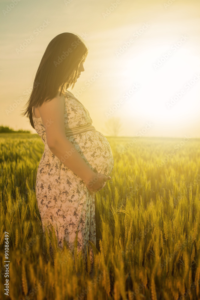 Pregnancy Pregnancy