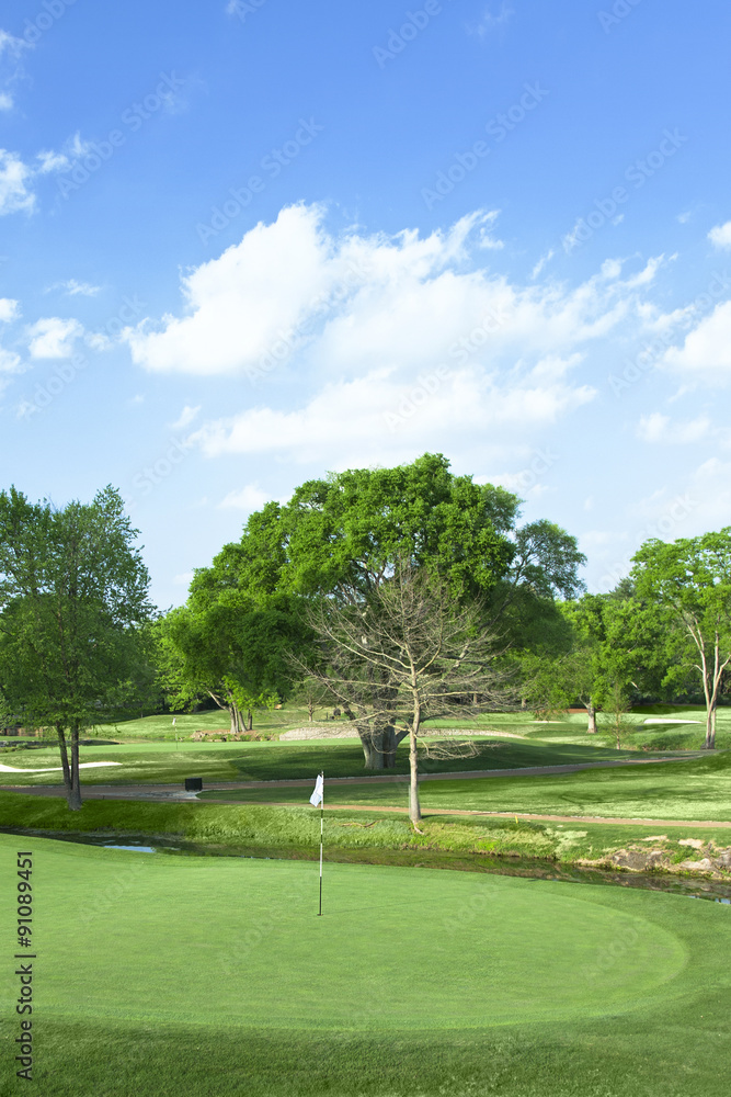 Fototapeta premium Golf Course Green