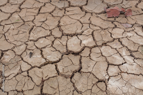 Close-up of dry soil cracked texture or background
