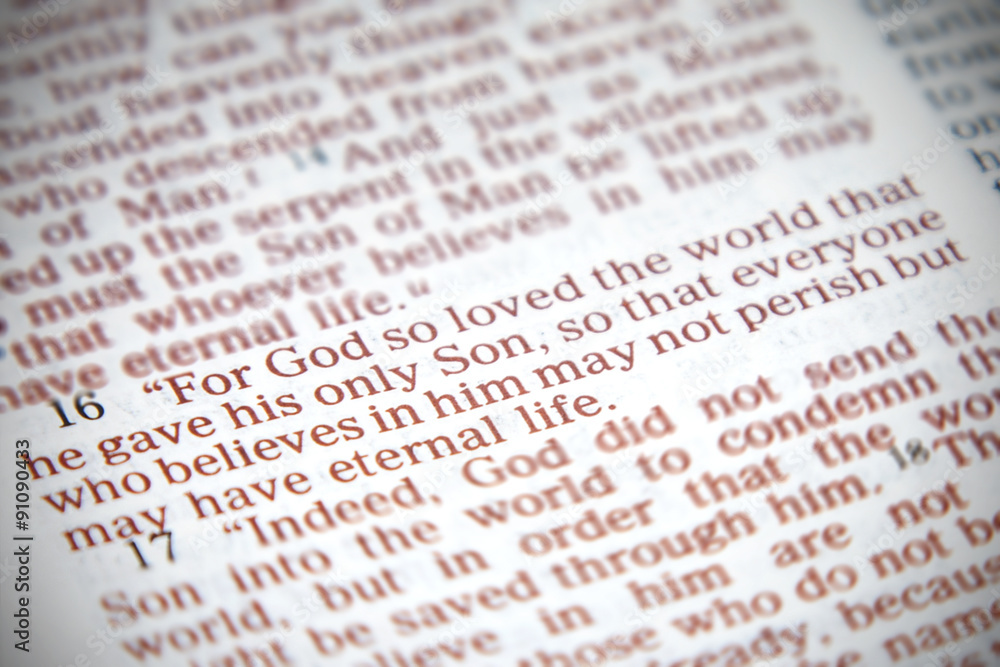 John 3:16 Bible Verse