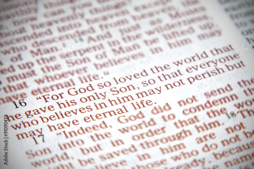 John 3:16 Bible Verse