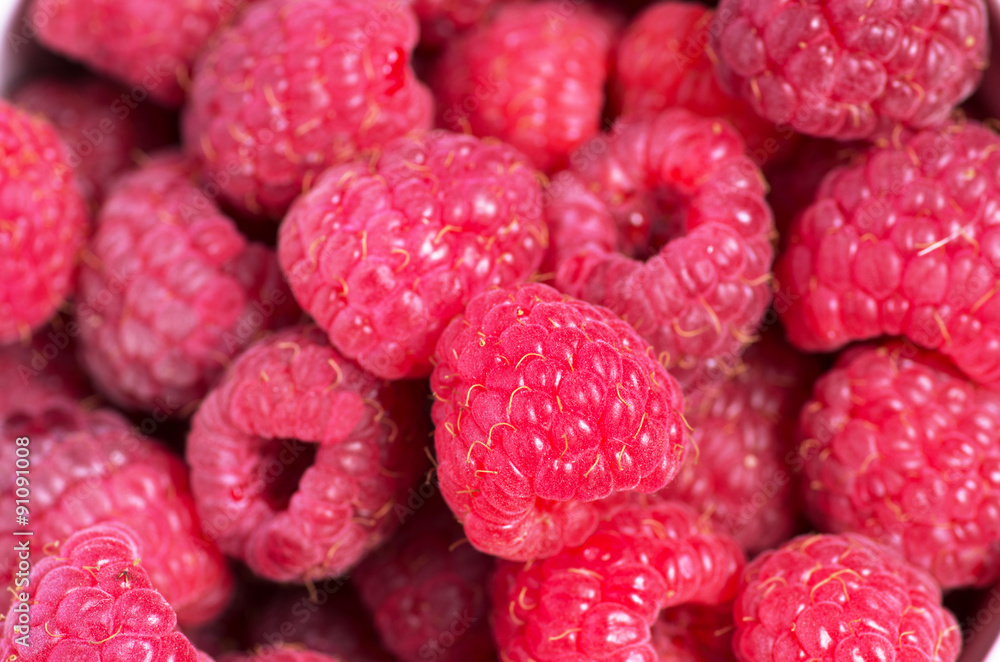 A beautiful selection of freshly picked ripe red raspberries A beautiful selection of freshly picked ripe red raspberries
