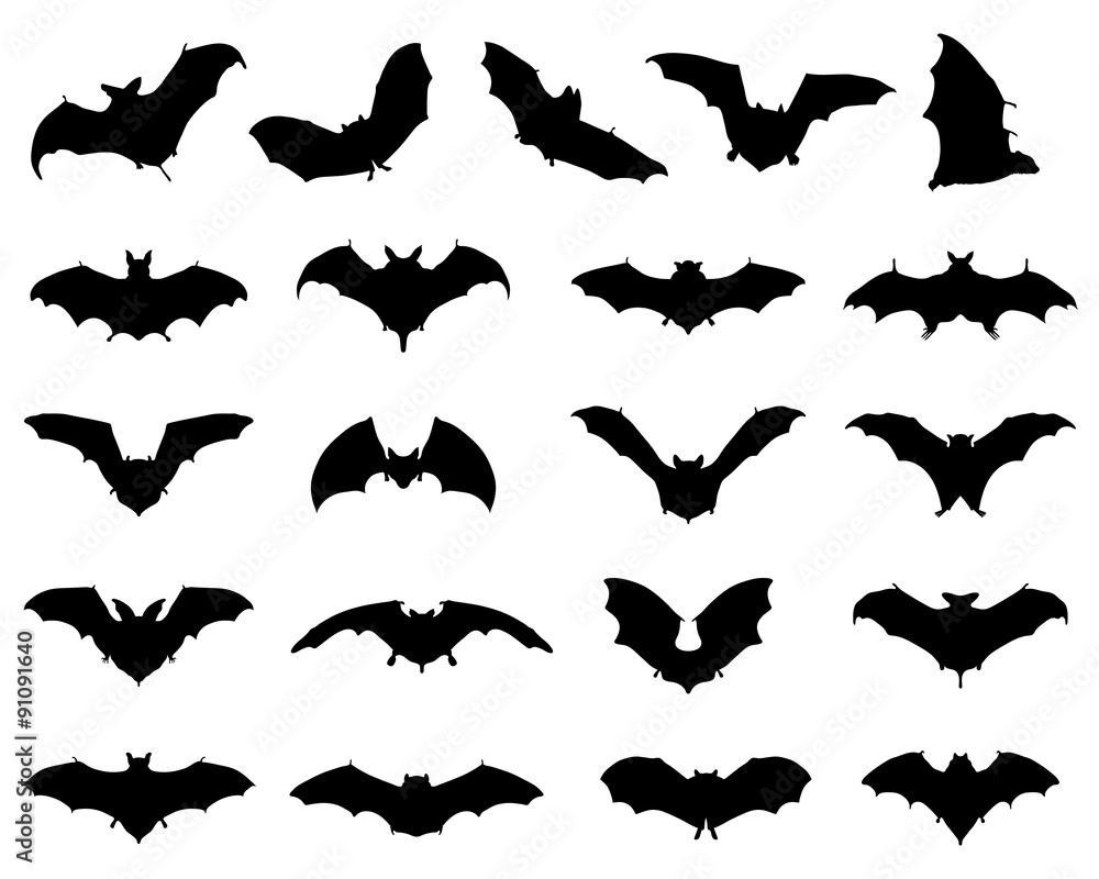Black silhouettes of different bats, vector Black silhouettes of different bats, vector