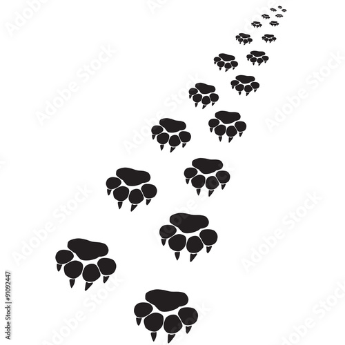 Footprints of a big cat 5-vector 