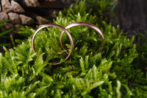 Two golden wedding rings on moss