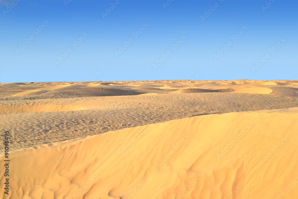Desert, Tunisia