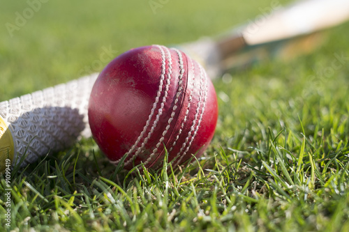Cricket ball and bat on grass field