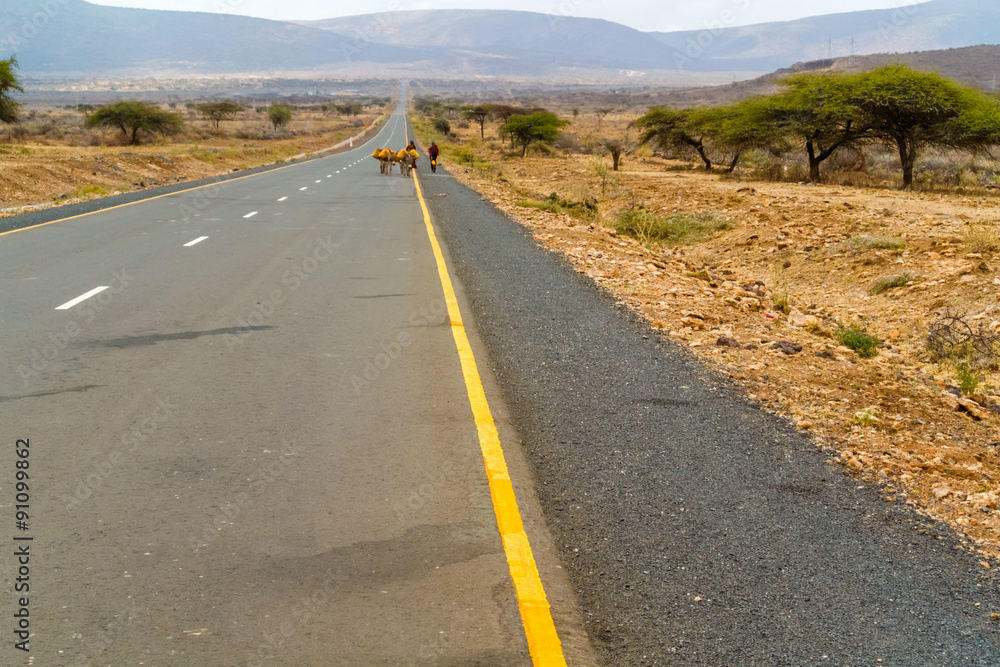 Mega, Ethiopia - February 26, 2015: People and the donkey are walking on the straight road number 80 to Mega in Ethiopia.