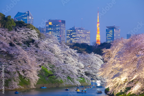 Canvas Print Beautiful sakura cherry blossom light up and Tokyo Tower landmark at Chidorigafu