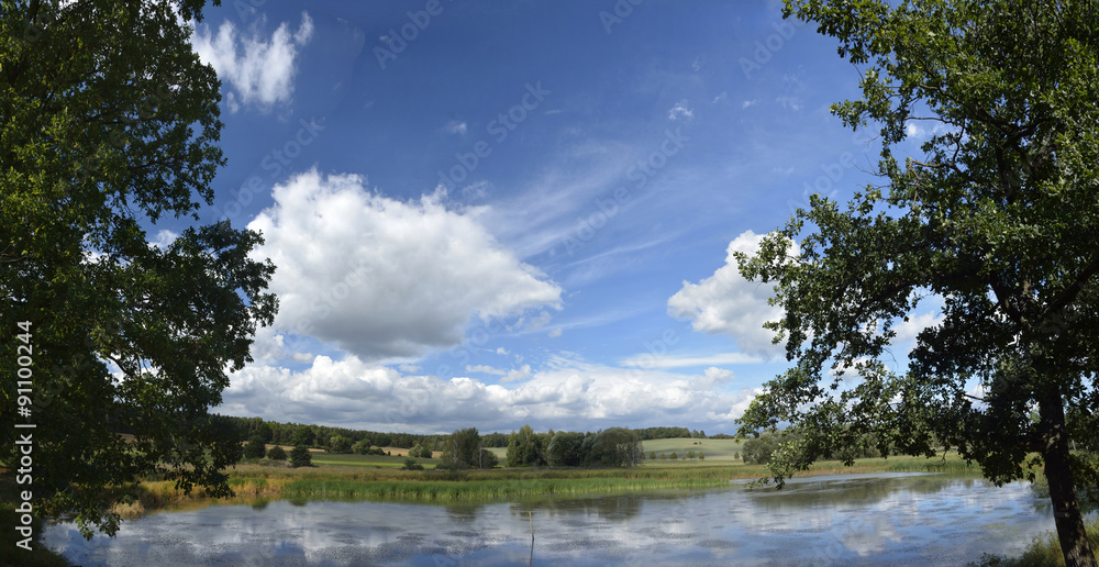 Fototapeta premium summer landscape