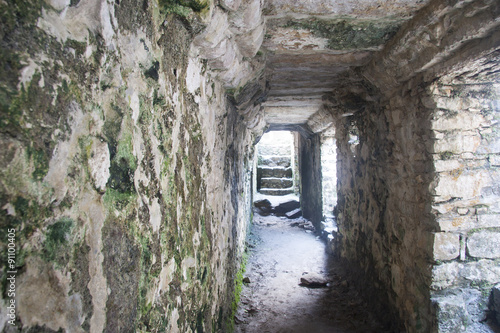 Fototapeta Naklejka Na Ścianę i Meble -  Archaeological zone of Palenque. Palenque, Chiapas, Mexico.