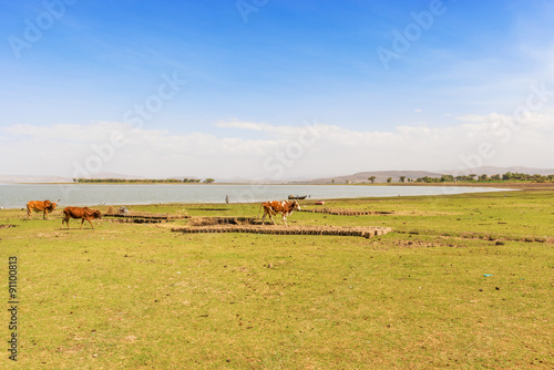 Lake Koka in Ethiopia