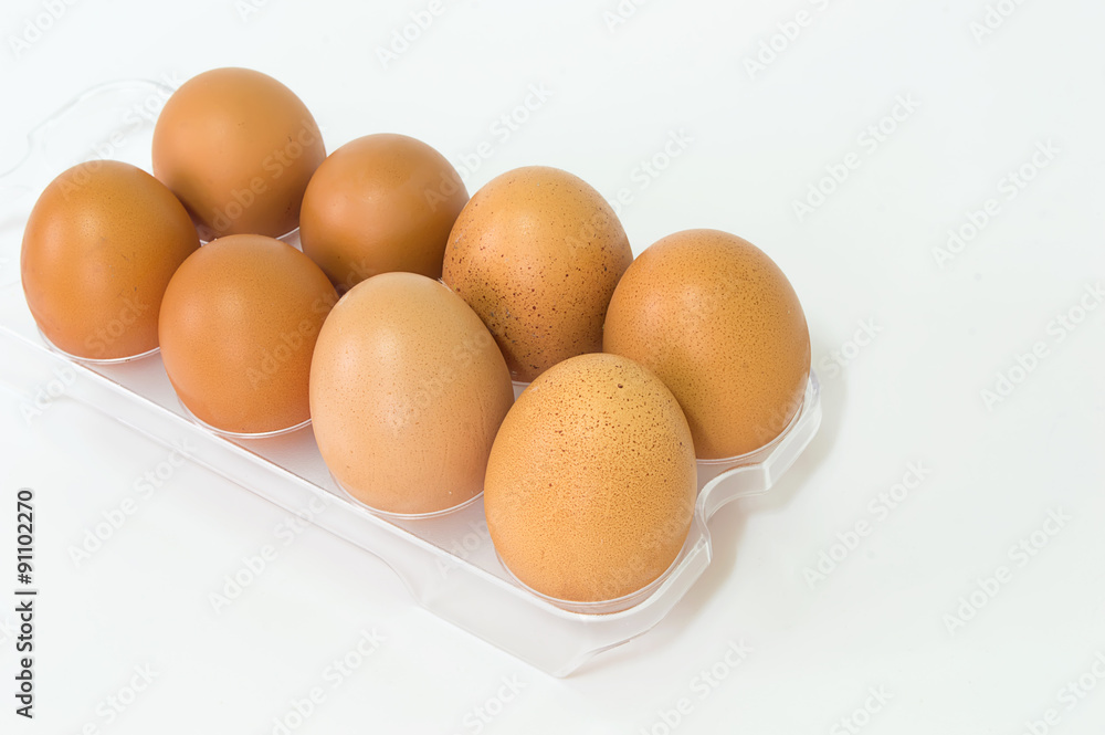 Eggs in the panel with isolate background Eggs in the panel with isolate background