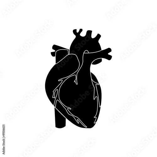 Human heart black color  isolated. vector illustration