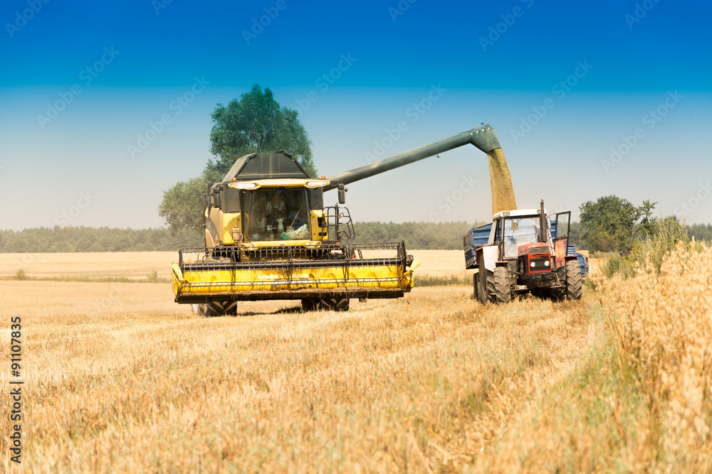 Harvest, fields and meadows during harvest Harvest, fields and meadows during harvest