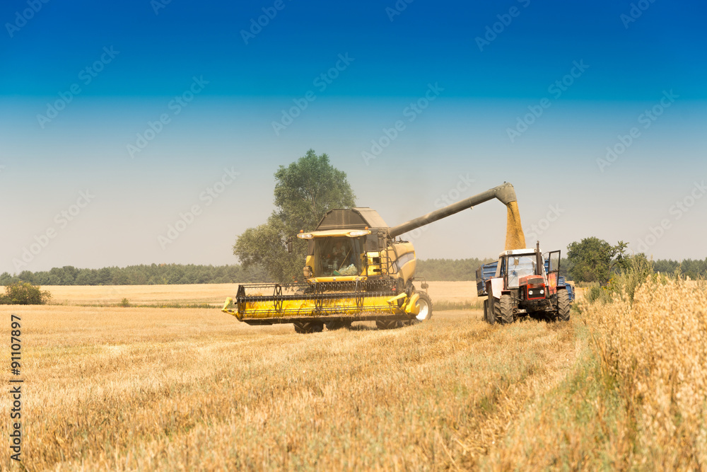 Harvest, fields and meadows during harvest Harvest, fields and meadows during harvest