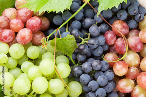 Bunch of colorful grapes Fototapet