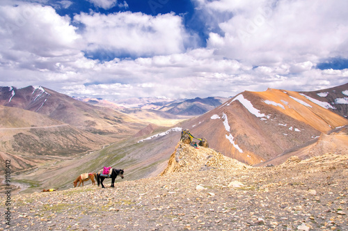 Tanglangla pass with snow peak,second highest pass of the world,Leh-Manali highway, Leh, Ladakh range, Himalaya, Jammu & Kashmir, Northern India