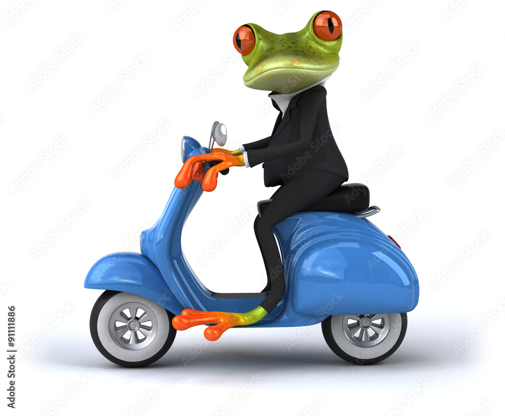 Fun frog Fun frog