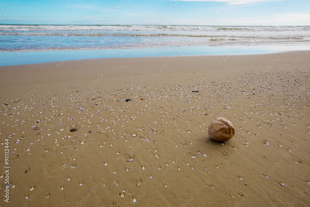 Desiccated Coconut on the beach Desiccated Coconut on the beach