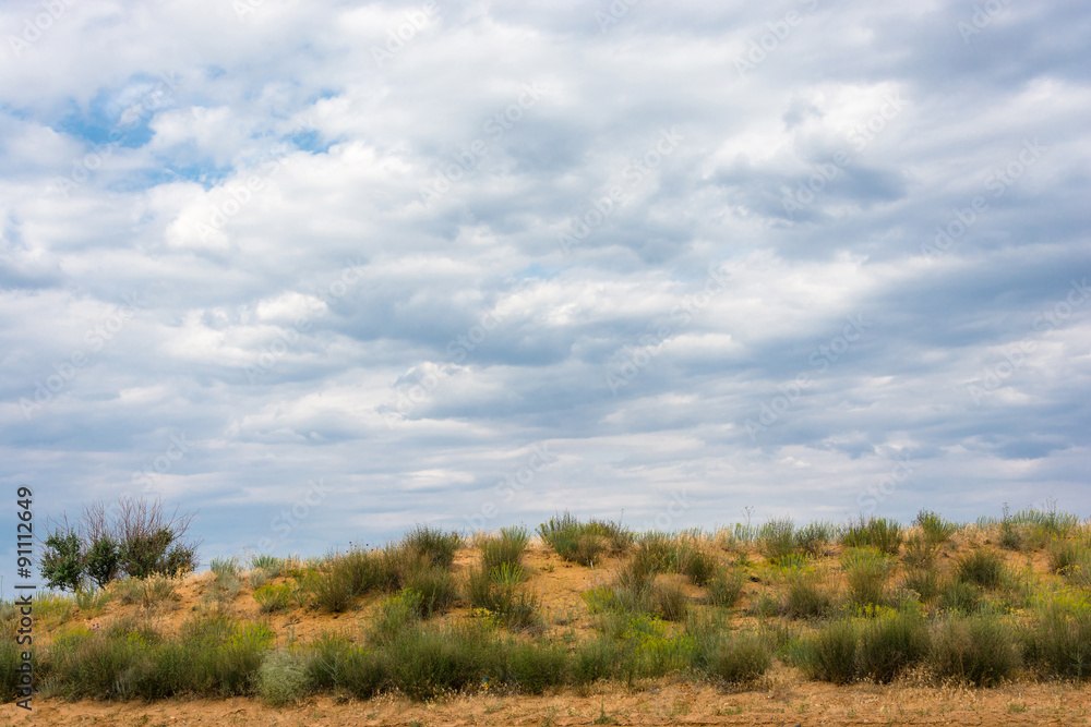 The steppe landscape. The steppe landscape.