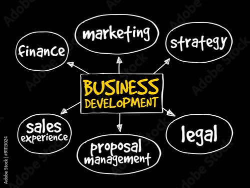 Business development mind map, business concept
