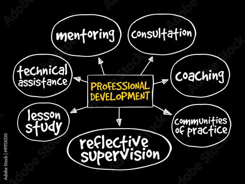 Professional development mind map business concept