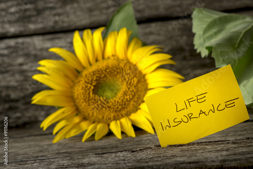 Fototapeta Naklejka Na Ścianę i Meble -  Life insurance concept with a colorful sunflower