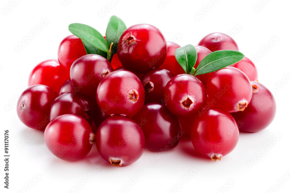 Cranberry with leaves isolated on white. Cranberry with leaves isolated on white.