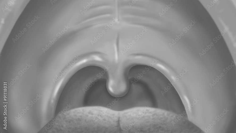 Naklejka premium Mouth cavity grey image. Oral care, hygiene and health. Digital background raster illustration.