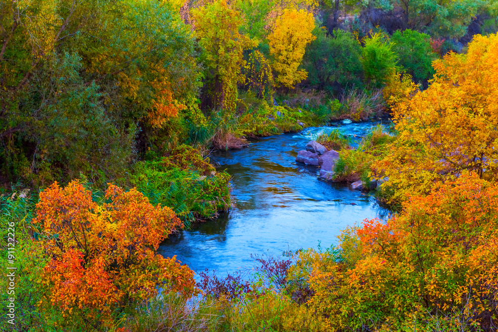 autumn river scene