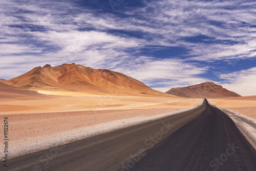 Desert road through the Altiplano  Chile  altitude 4700m