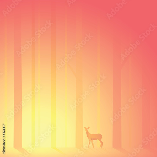 Deer lost in forest in the afternoon