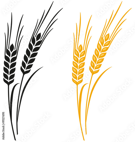 Ears of Wheat, Barley or Rye vector visual graphic icons, ideal for bread packaging, beer labels etc.