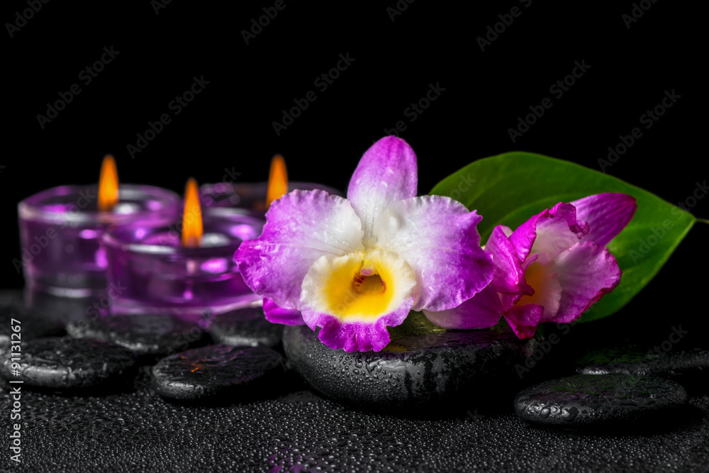 spa still life of purple orchid dendrobium, green leaf Calla lil spa still life of purple orchid dendrobium, green leaf Calla lil