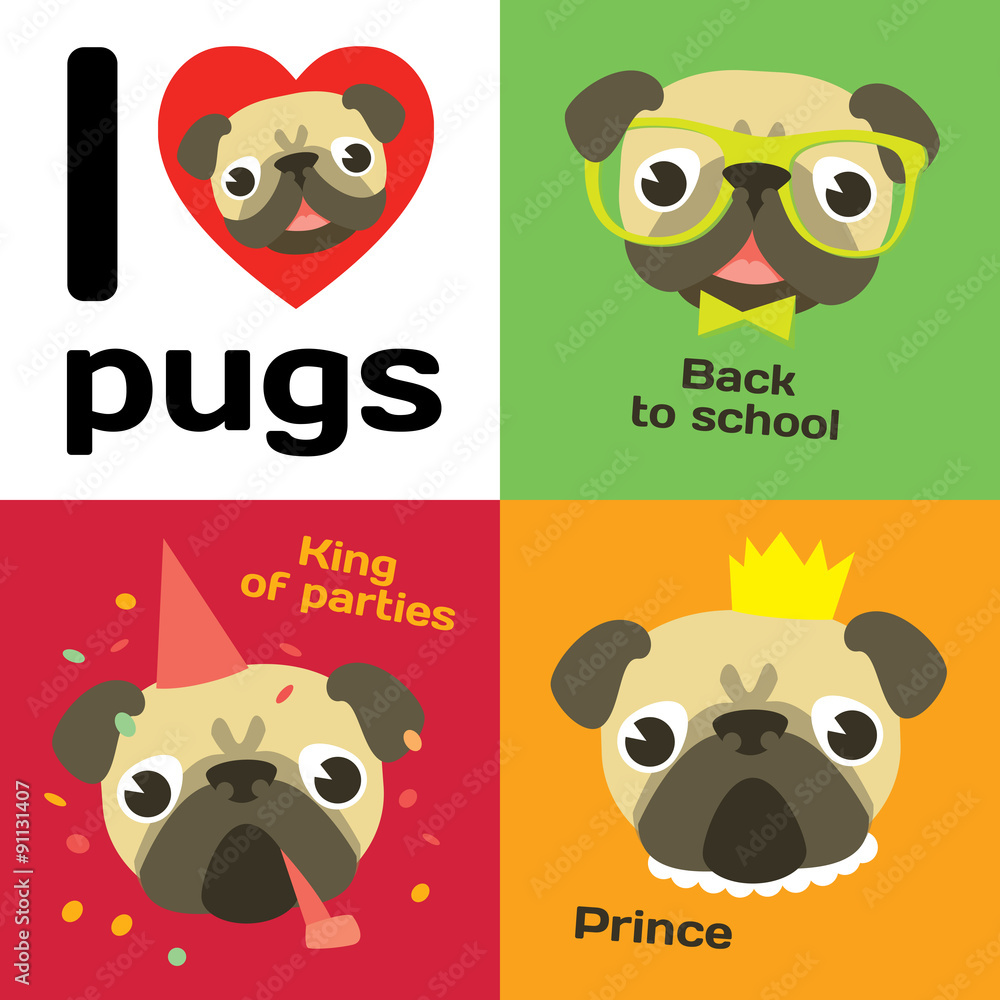 Fototapeta premium Funny pugs in different situations.