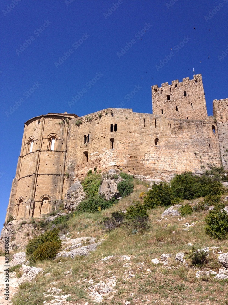 Medieval castle in Loarre